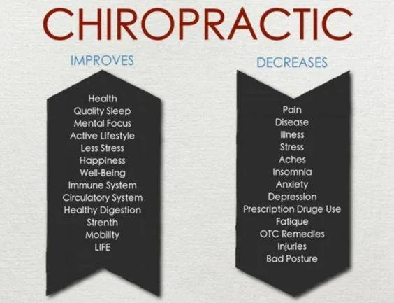 An illustration of how chiropractic care supports the body