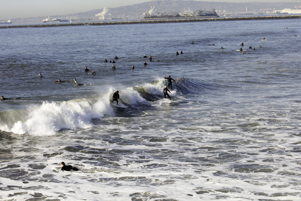 Surfers off of seal beach